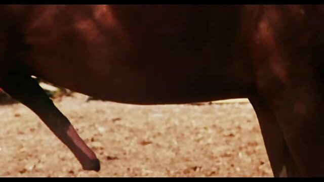 Khiêu dâm, không giấy đăng ký  Trưởng thành đam anh sec gai mê điếm vì hai cocks